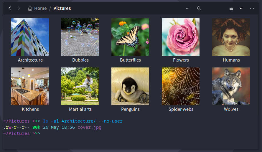 A screenshot of Nautilus with directory thumbnails.